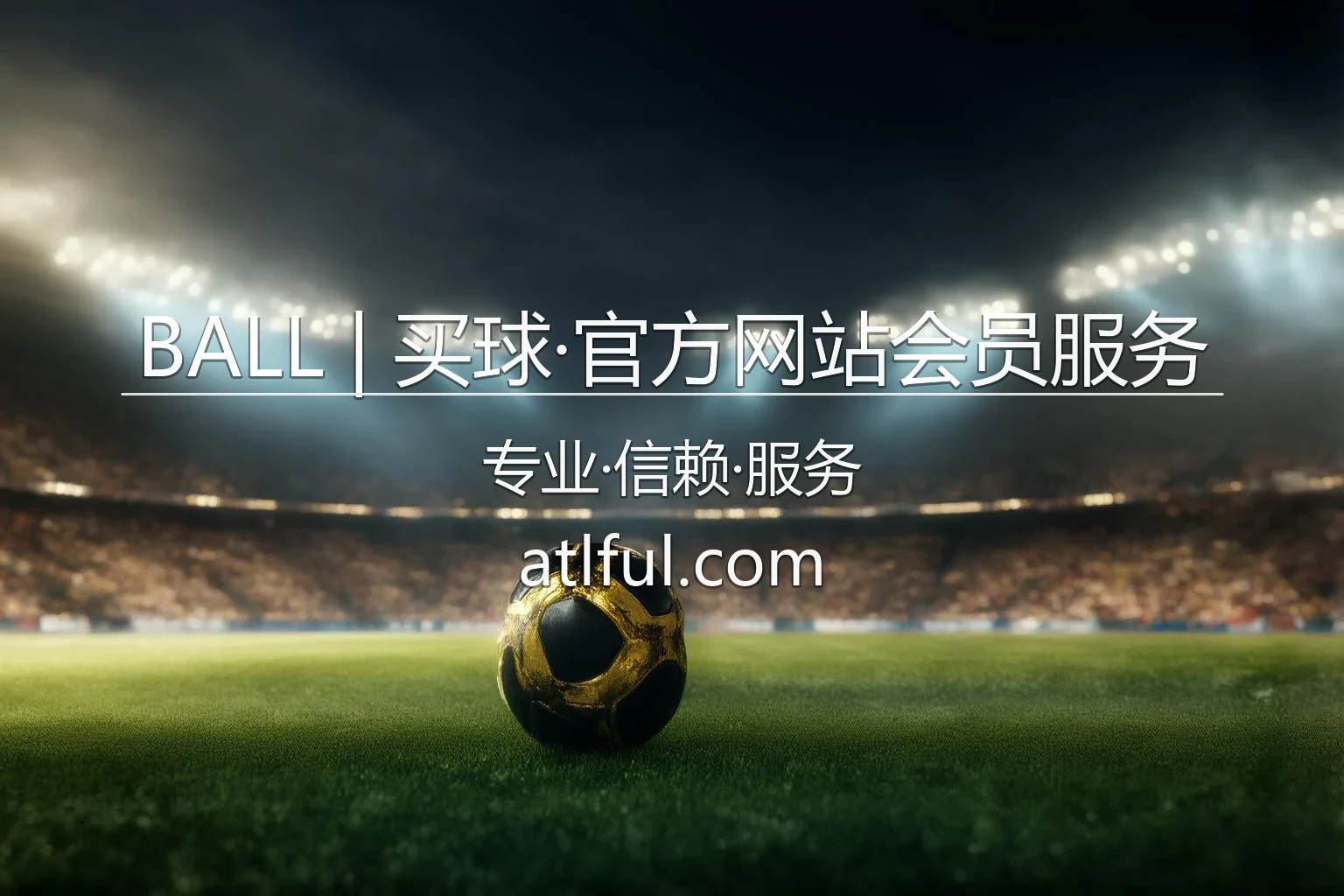 BALL | 买球·官方网站会员服务