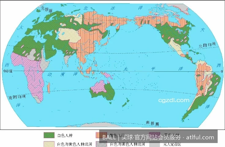 世界杯买球新手必看：如何利用BALL专业数据模型提升赛事预测准确率